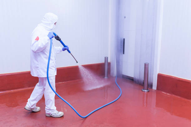 Best Playground Equipment Cleaning  in Whitney, NV