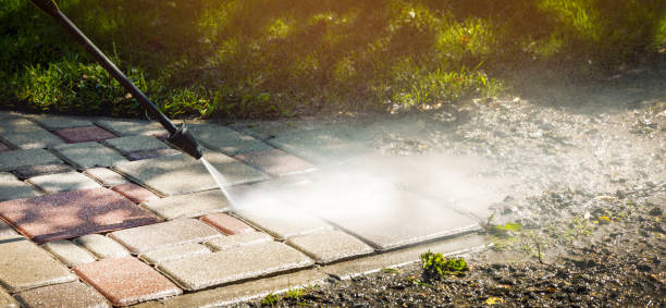 Best Solar Panel Cleaning  in Whitney, NV